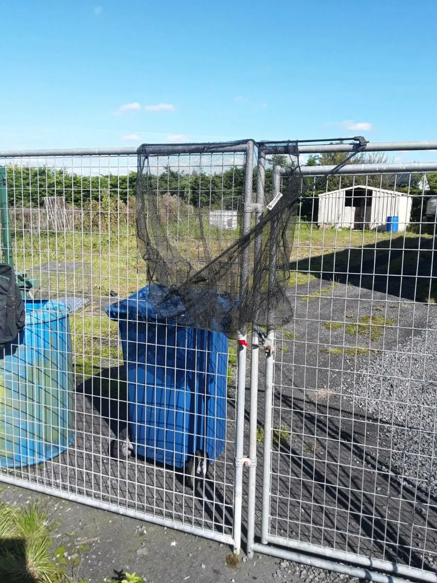 Fishing rods reels nets and bags 100e the lot - Image 4