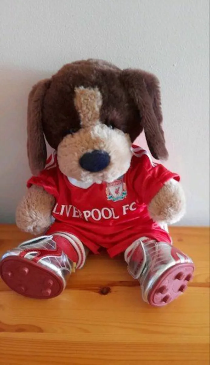 Buildabear dog wearing Liverpool kit