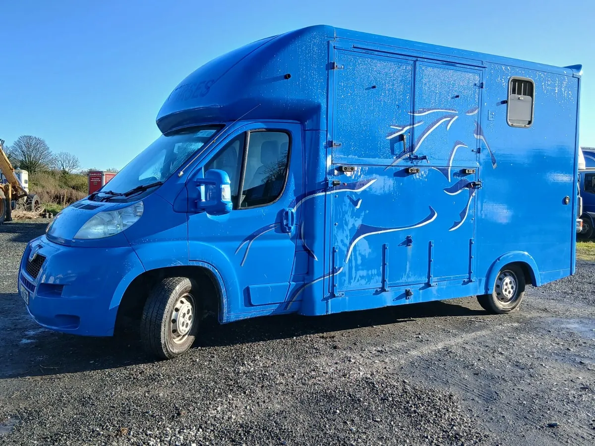 2012 Peugeot boxer 2 stall horse van - Image 1