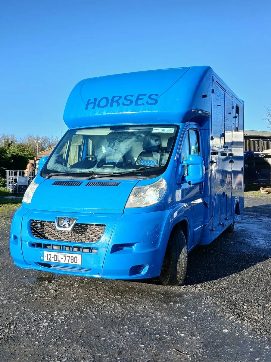 2012 Peugeot boxer 2 stall horse van - Image 3