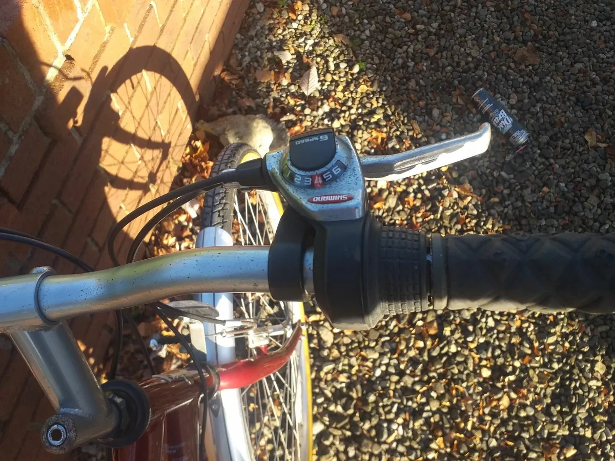 Ralaigh Pioneer 18speed Ladies bike - Image 1