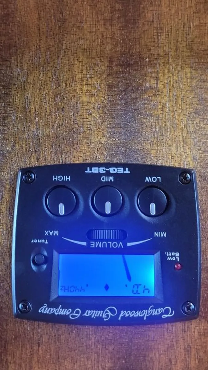 Tanglewood Acoustic Guitar with Pickup - Image 4