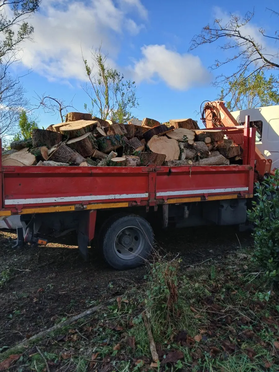 Firewood for sale can be delivered - Image 2
