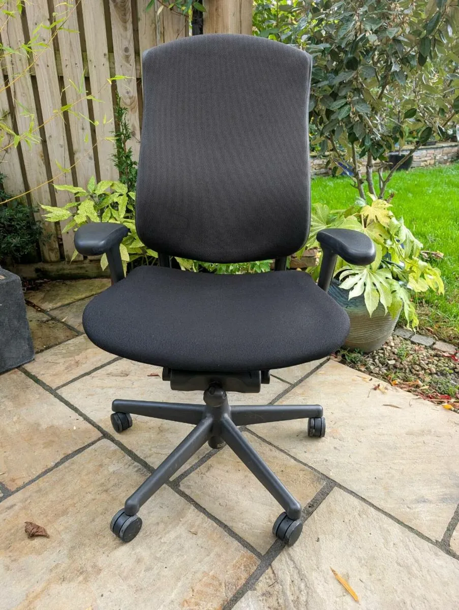 Ergonomic office chair - Image 1