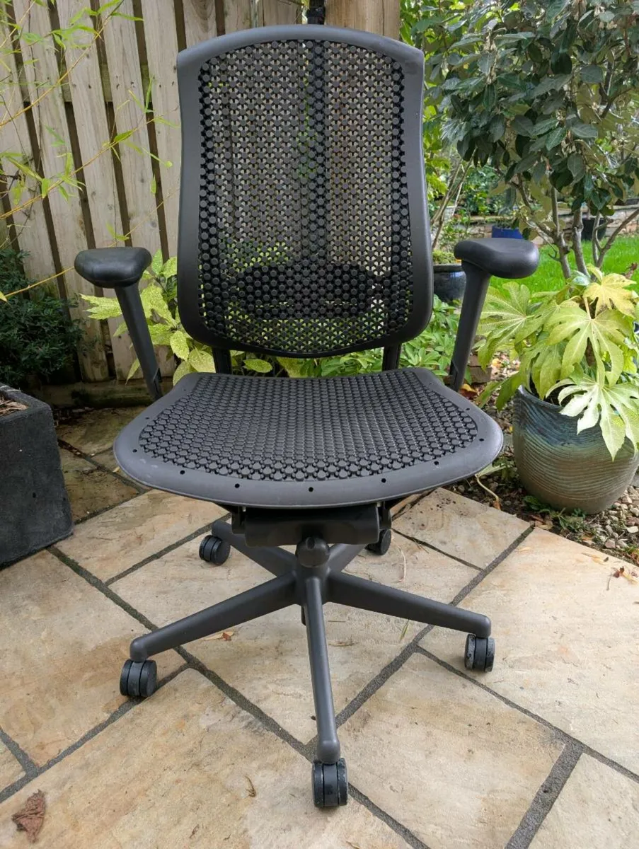 Ergonomic office chair - Image 1