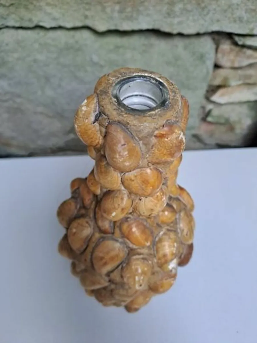 Decorative shell bottle - Image 3