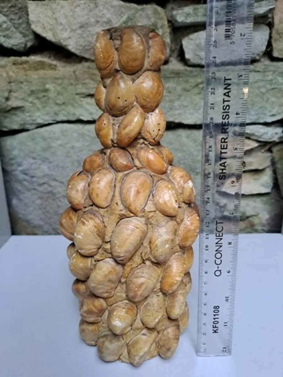 Decorative shell bottle - Image 4