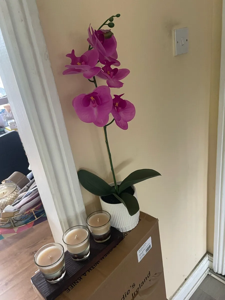 new orchid flower pot & new bedside lockors - Image 1