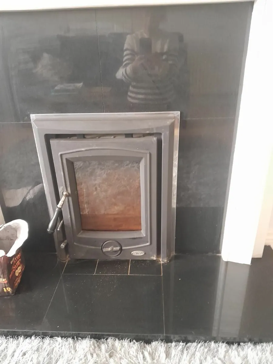 Insert solid fuel Stove. - Image 2