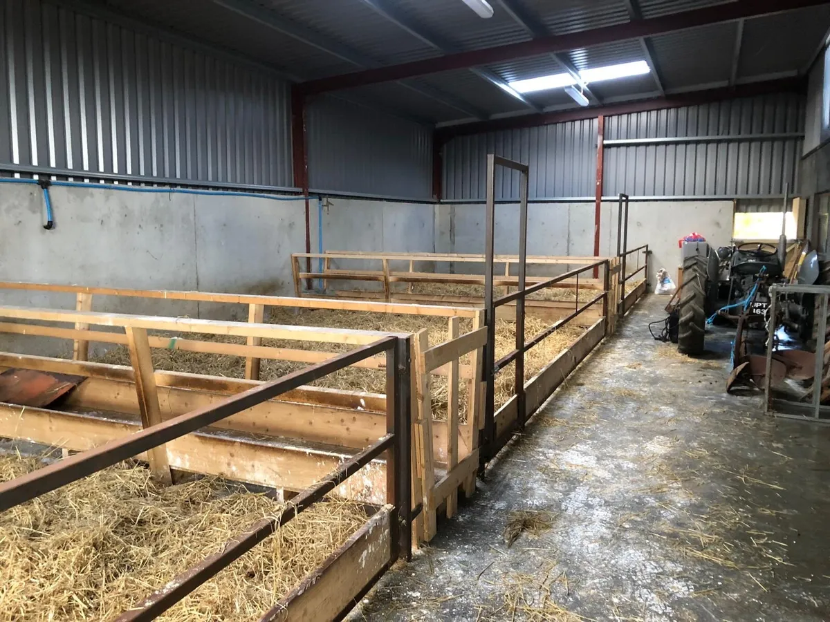 Sheep pens - Image 3