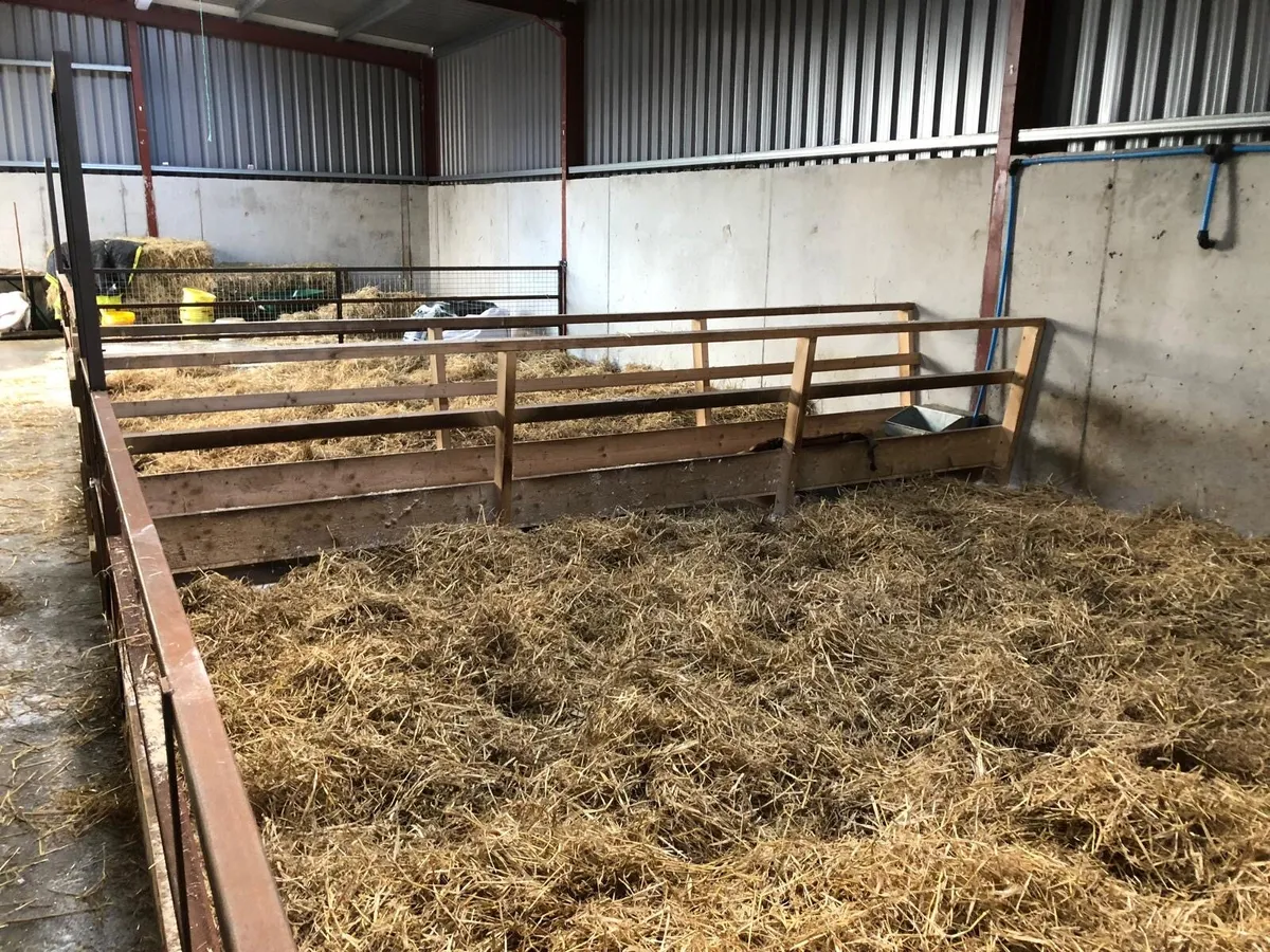 Sheep pens - Image 4