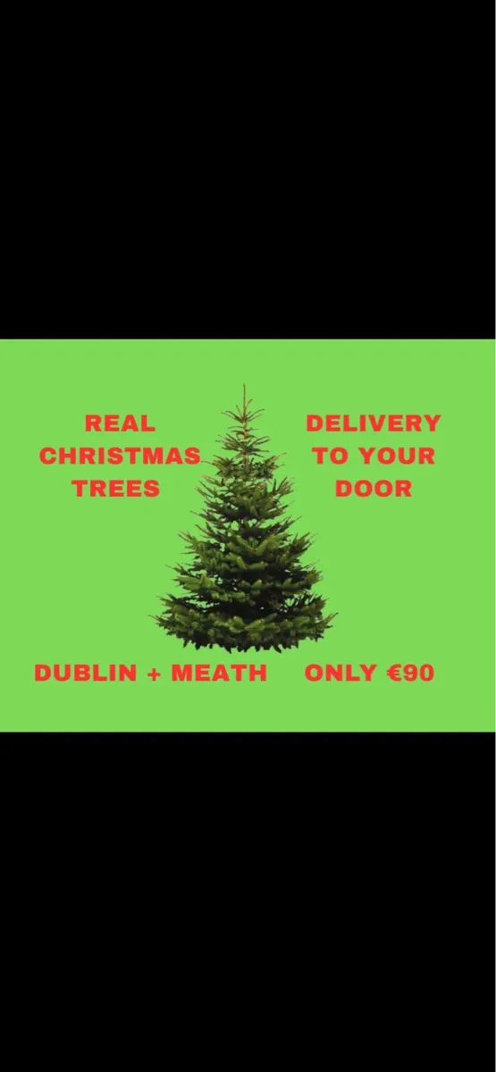 6FT REAL CHRISTMAS TREES + DELIVERY - Image 1