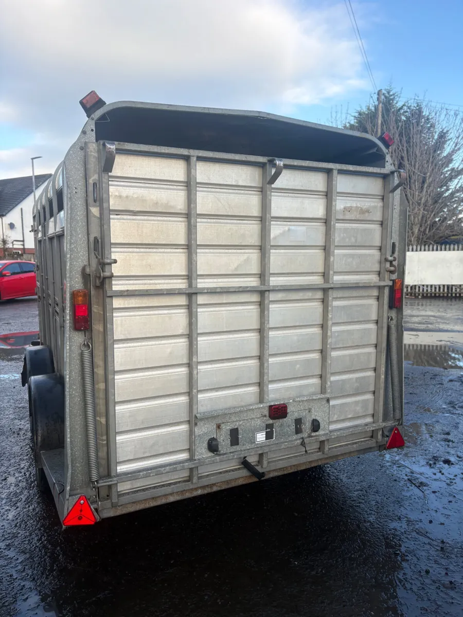 Ifor Williams 12ft cattle trailer - Image 2