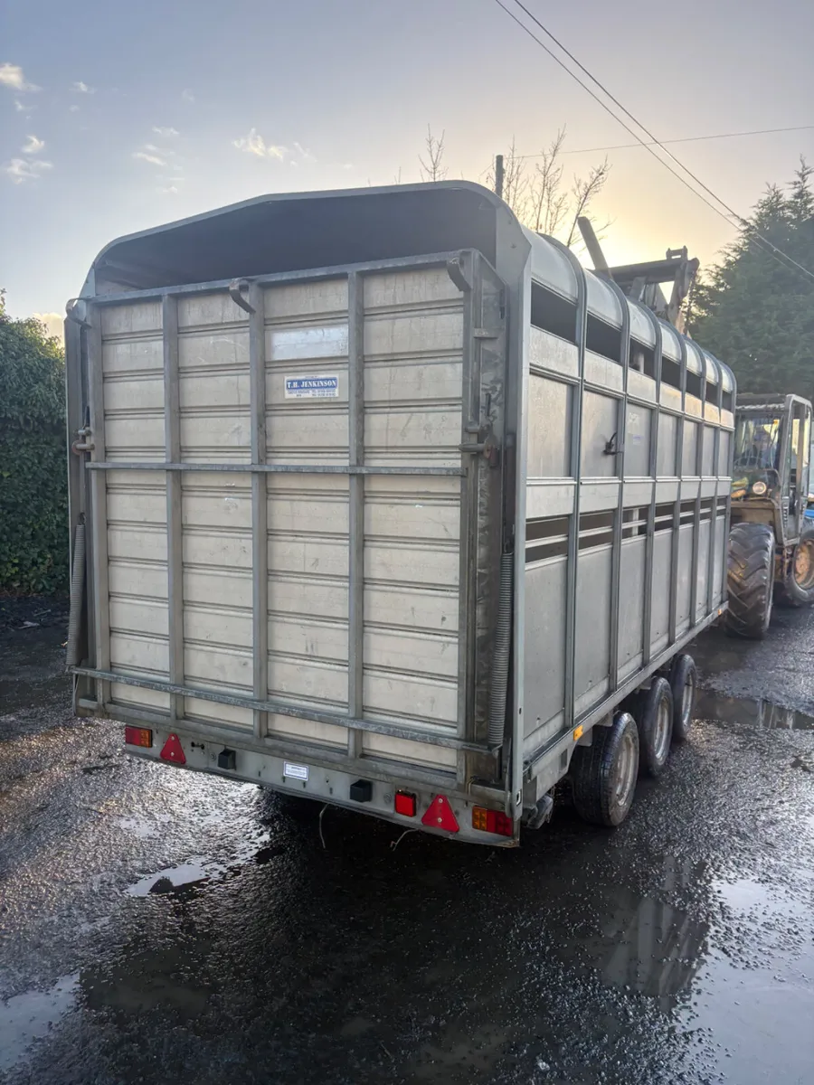 Ifor Williams 14ft Demountable cattle trailer - Image 2