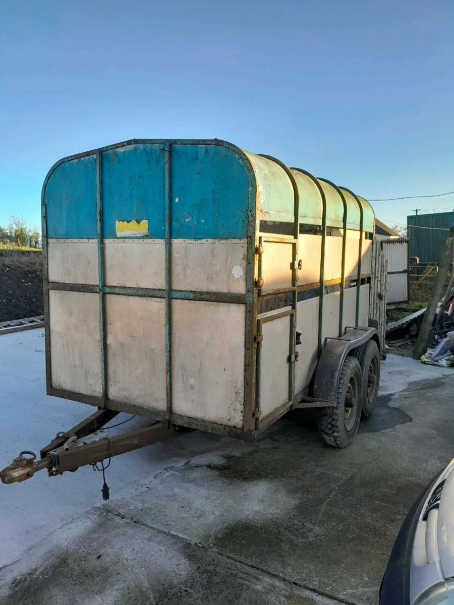 10 x 6 crooks - Image 1