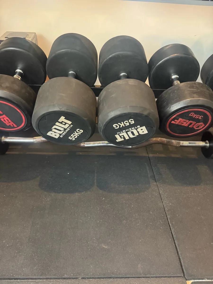 55kg Dumbbell pair