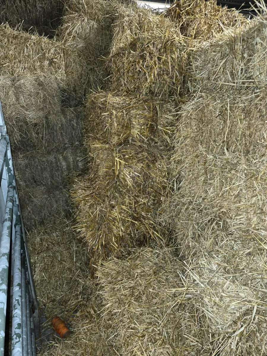 Straw bales - Image 2