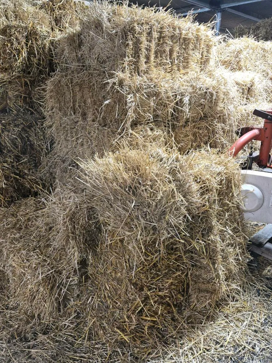 Straw bales - Image 3