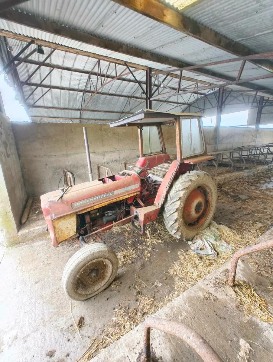 International 444 - Image 1