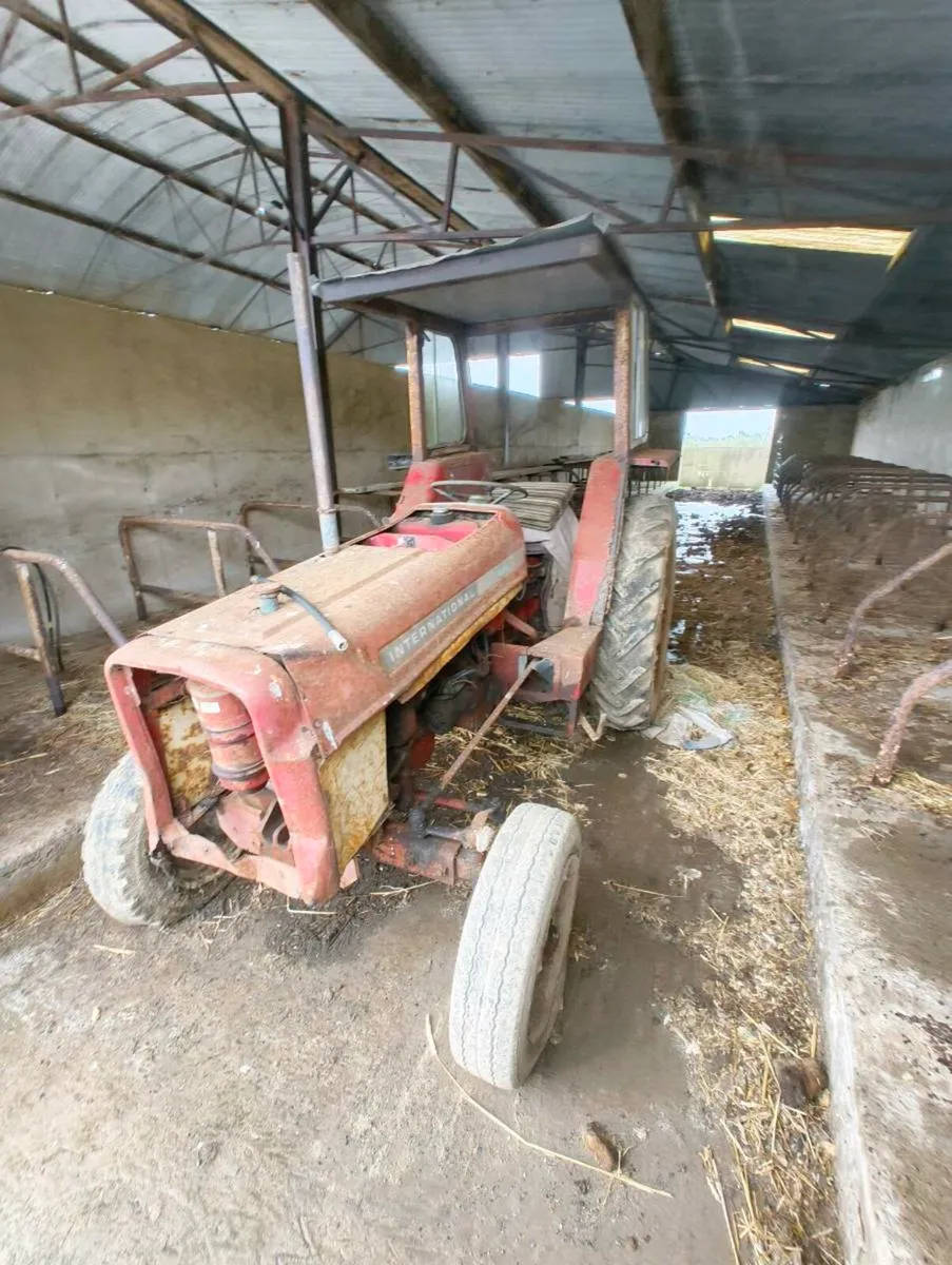 International 444 - Image 2