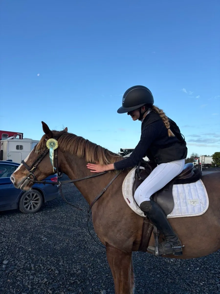 Top Class SJ / Event Prospect⭐️⭐️ - Image 1