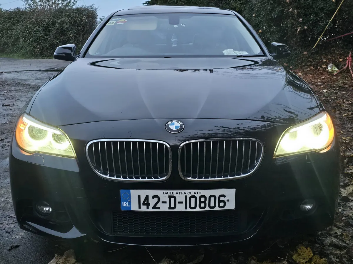 2014 bmw 520d se full Msports kit €6990 - Image 4