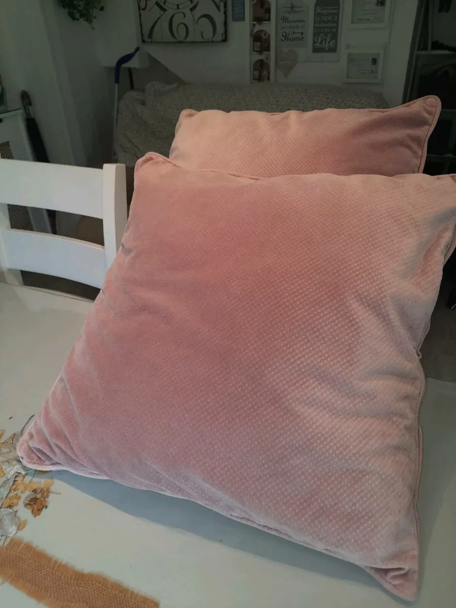 Two Large Cushions - Image 1