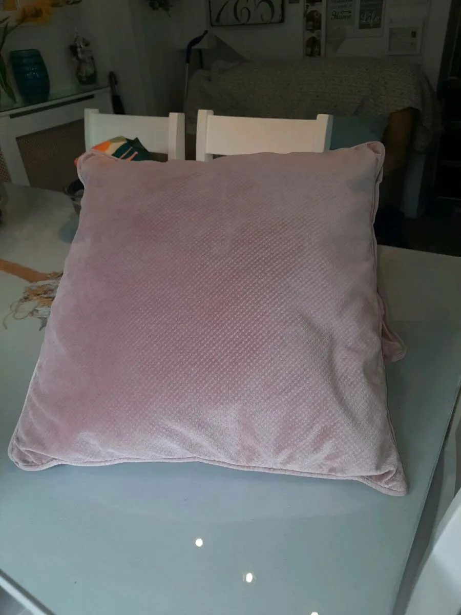 Two Large Cushions - Image 2