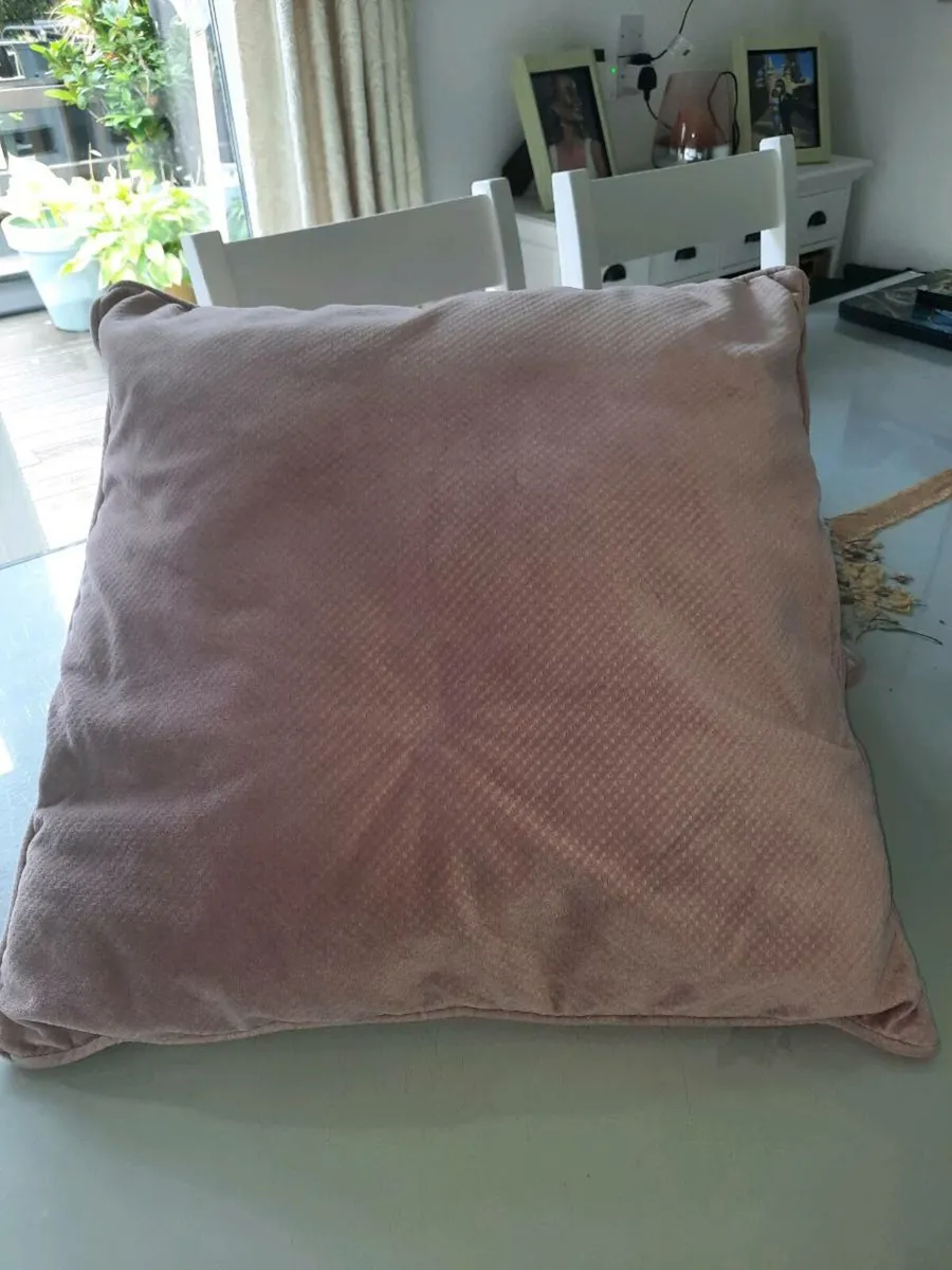 Two Large Cushions - Image 3