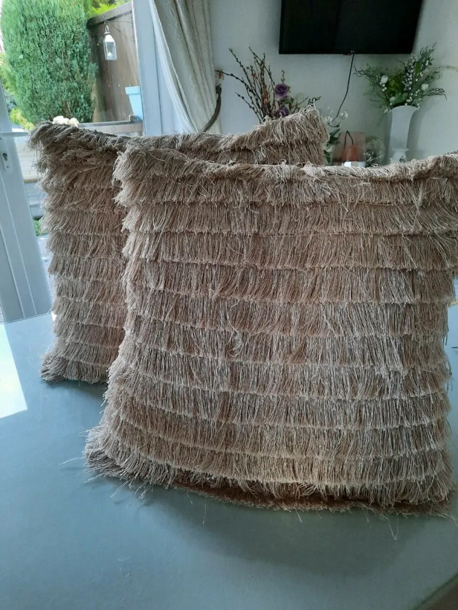Two large Cushions - Image 2
