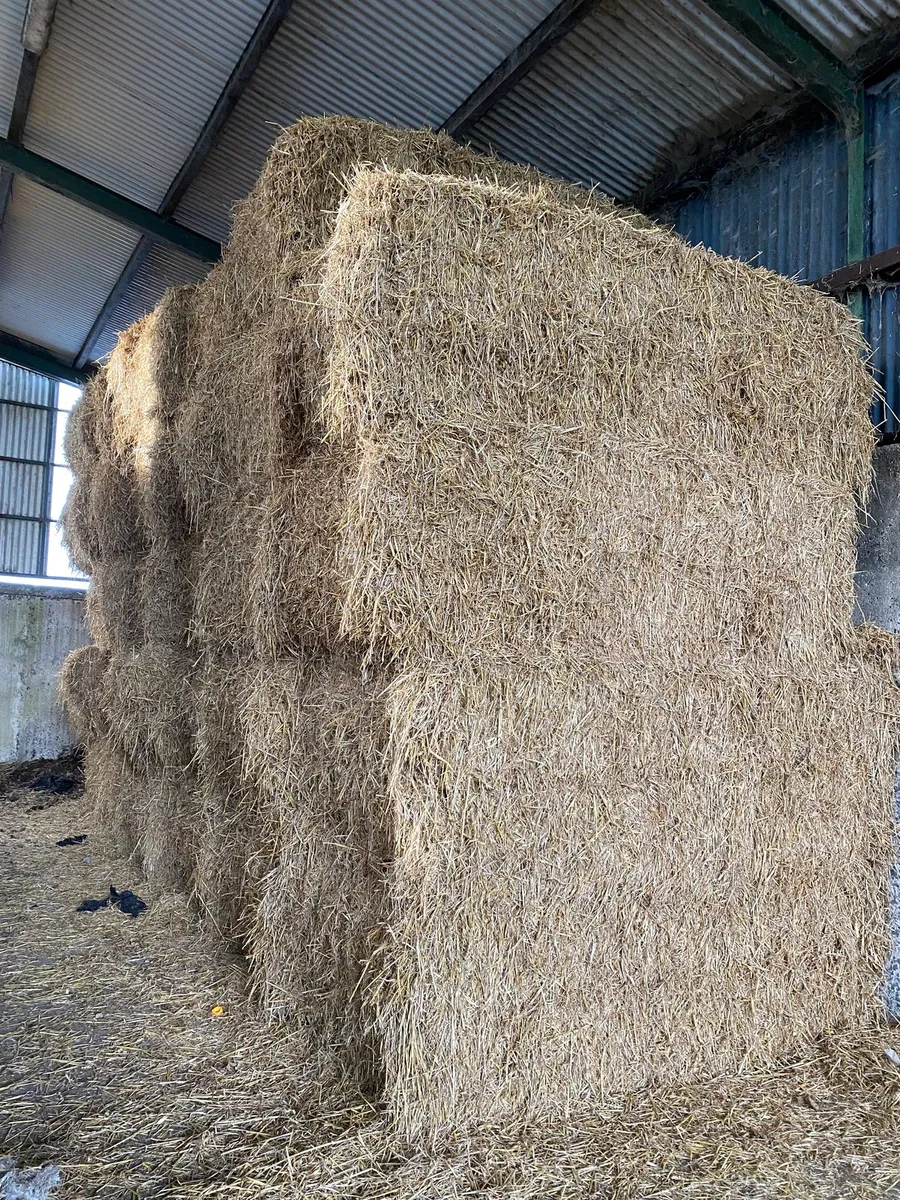 Wheat straw - Image 1