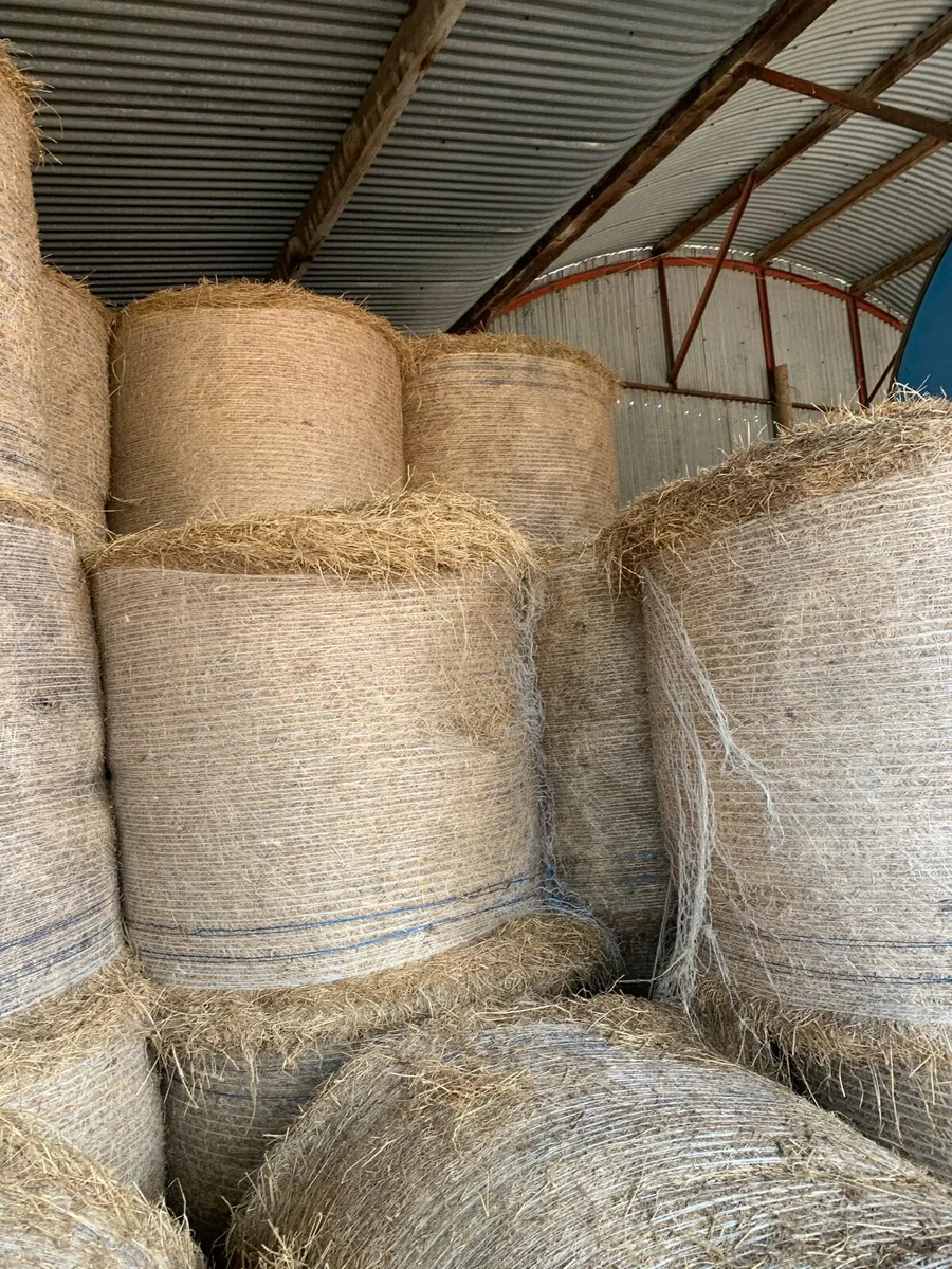 Hay for sale