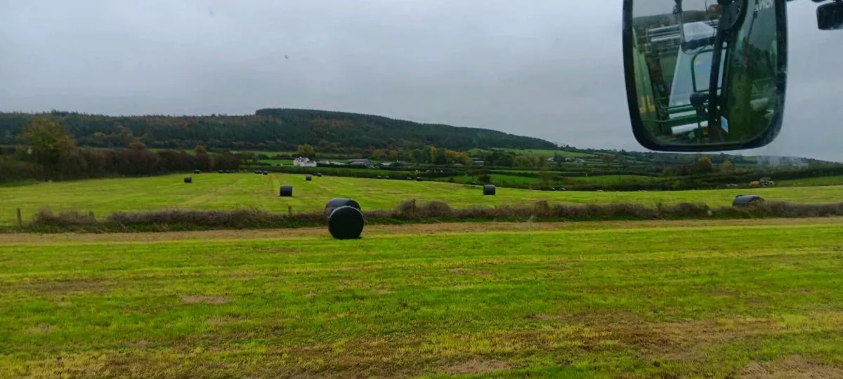 Silage bales