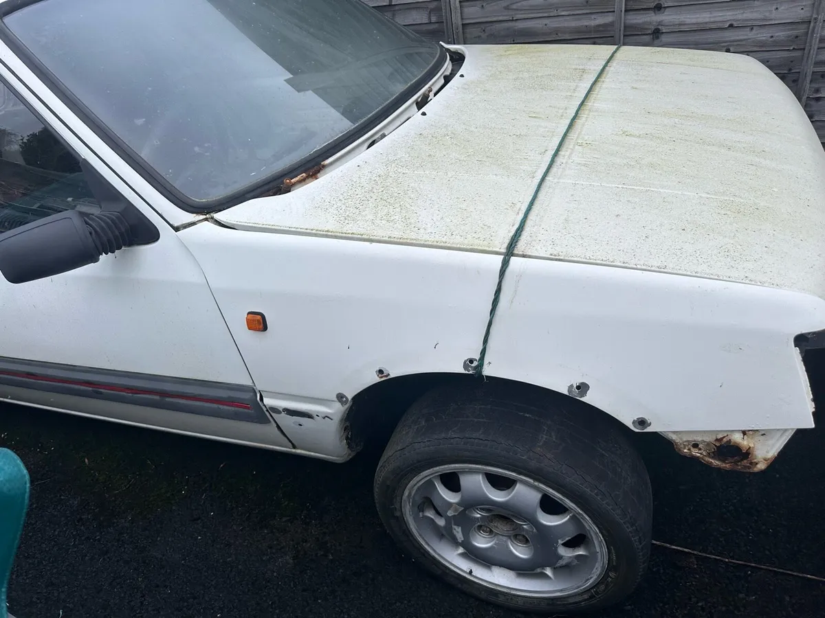 Peugeot 205 Gti - Image 1