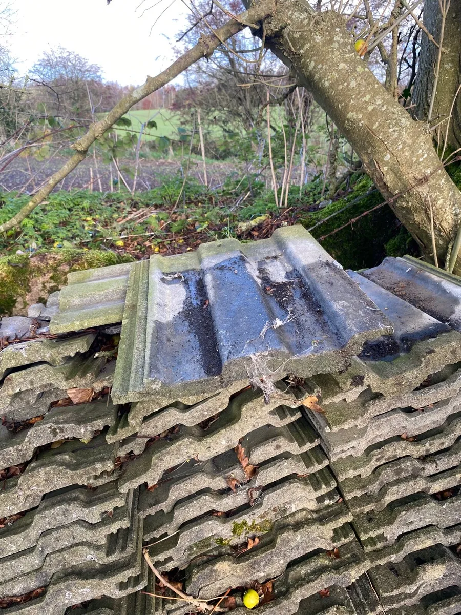 Roof Tiles - Image 1