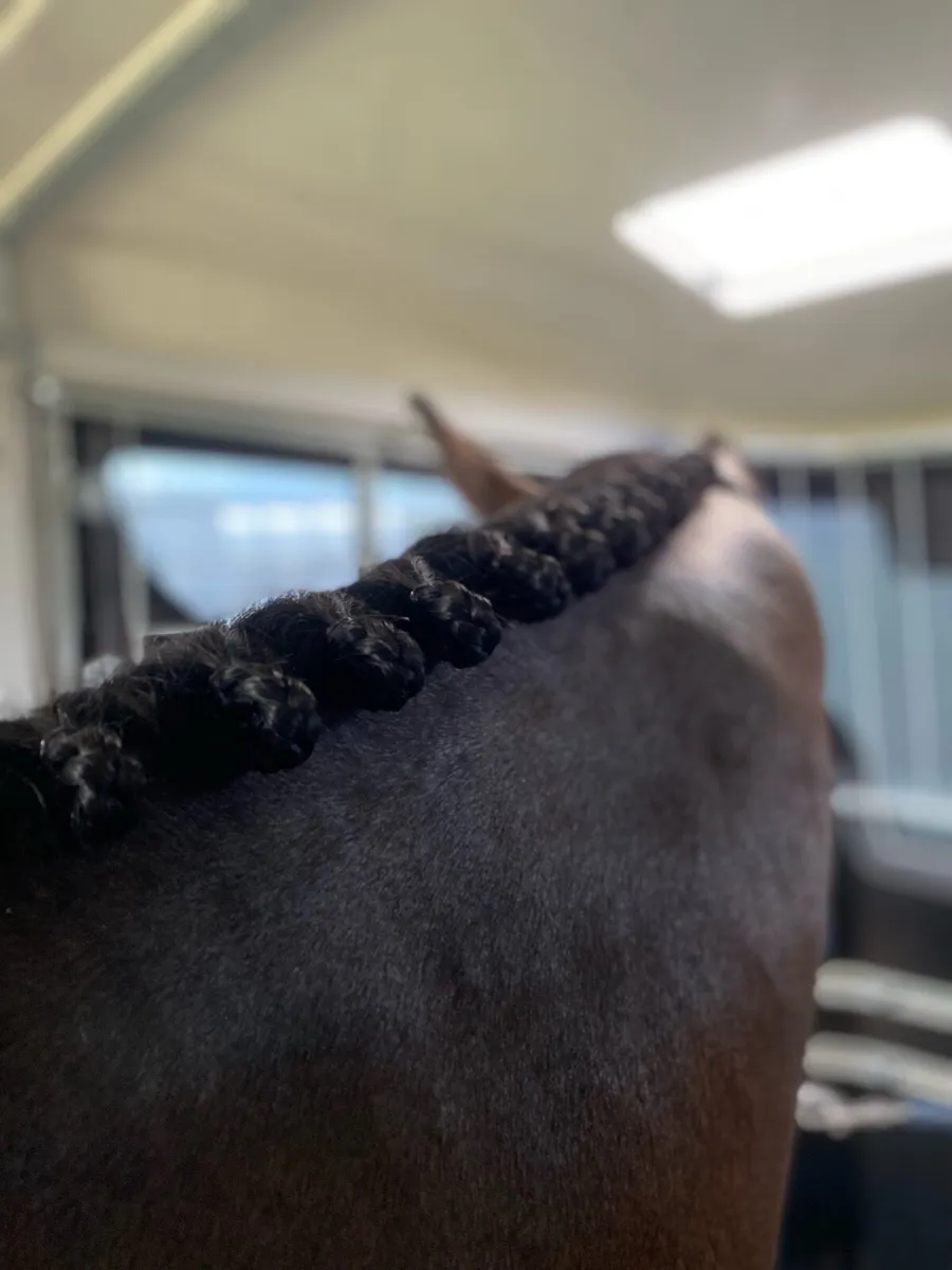 Clipping/Plaiting Service - Image 3