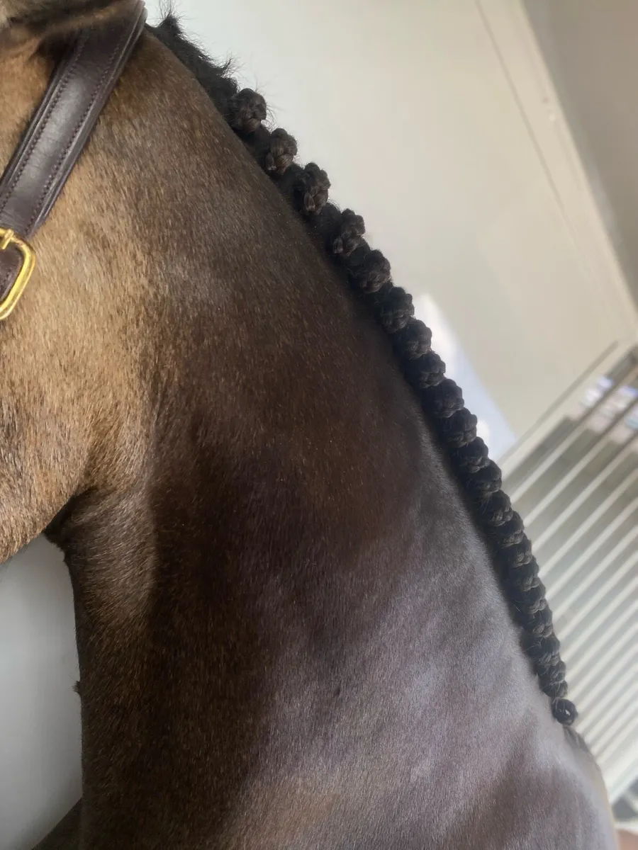 Clipping/Plaiting Service - Image 4