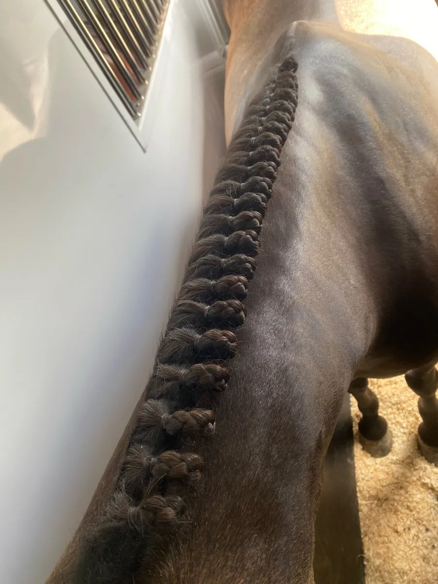 Clipping/Plaiting Service - Image 4