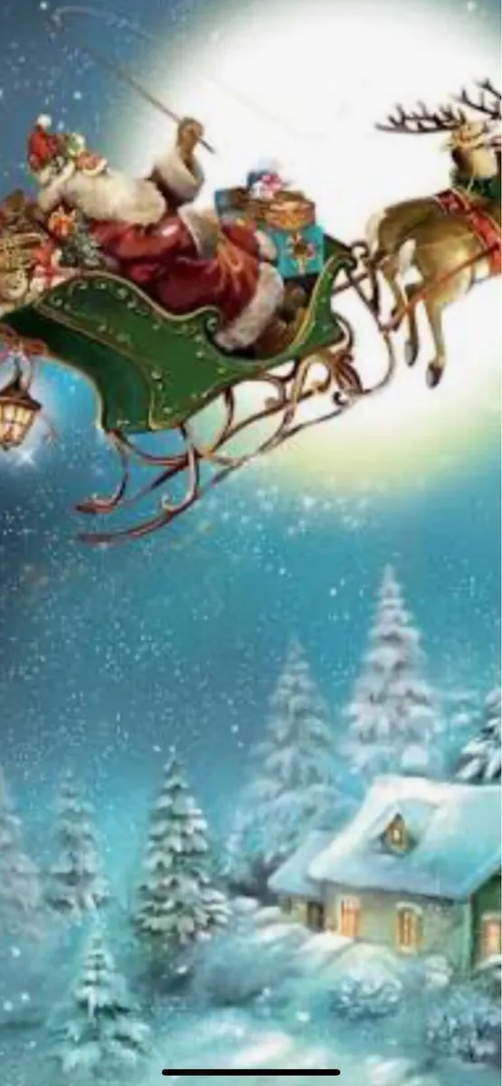 MARQUEE GARDEN - Image 2