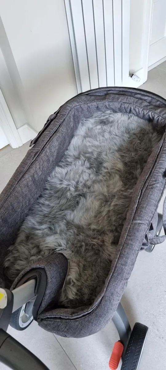 Child’s buggy - Image 3