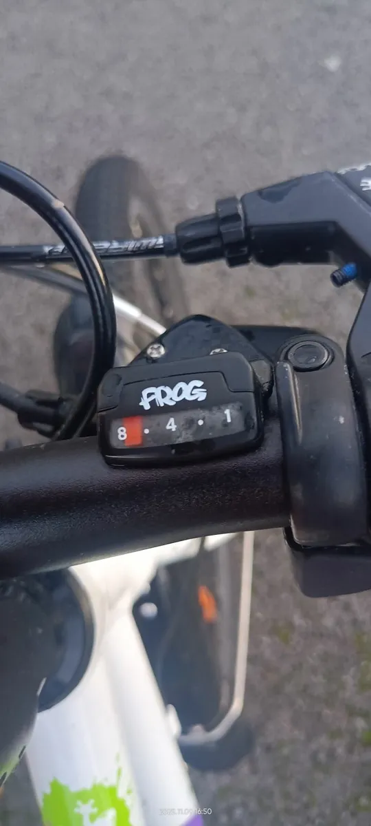 Kids Frog Bike - Image 2