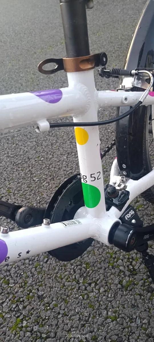 Kids Frog Bike - Image 3