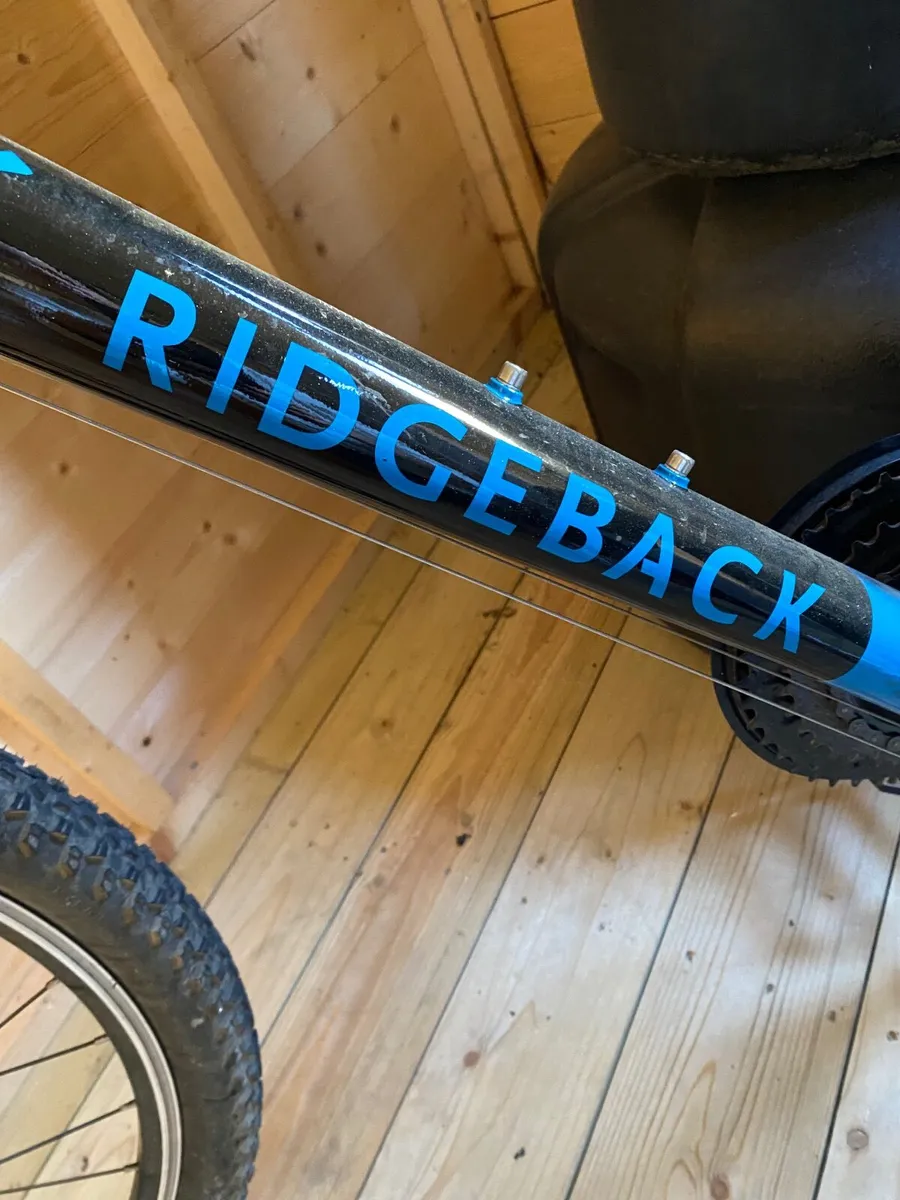 Mountain bike - Image 1