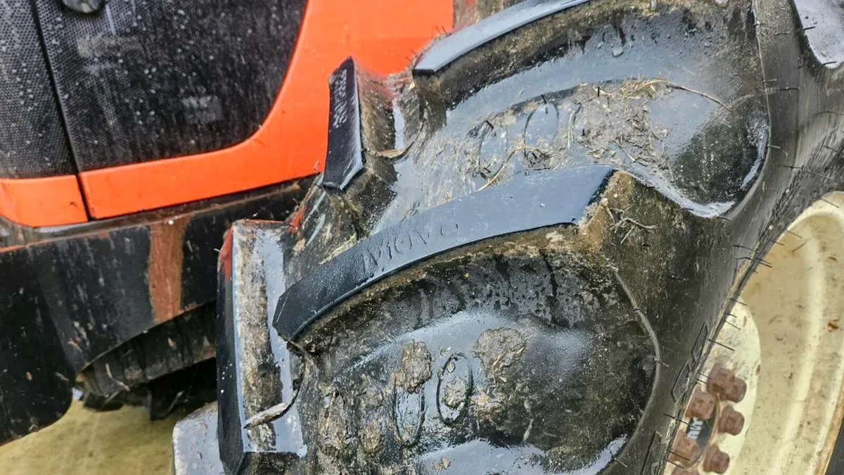 Same 100.4 - Image 3