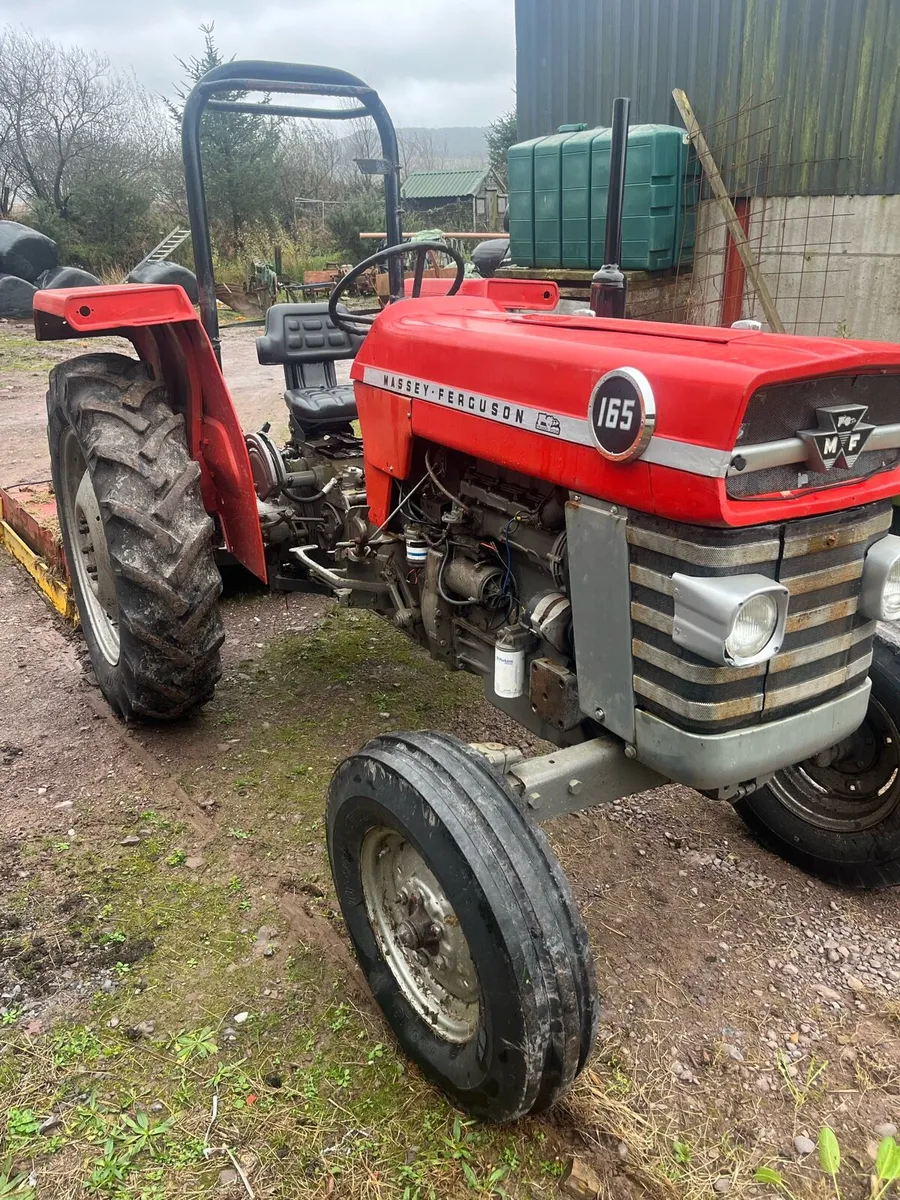 Massey 165 / yard clearance open to offers - Image 3