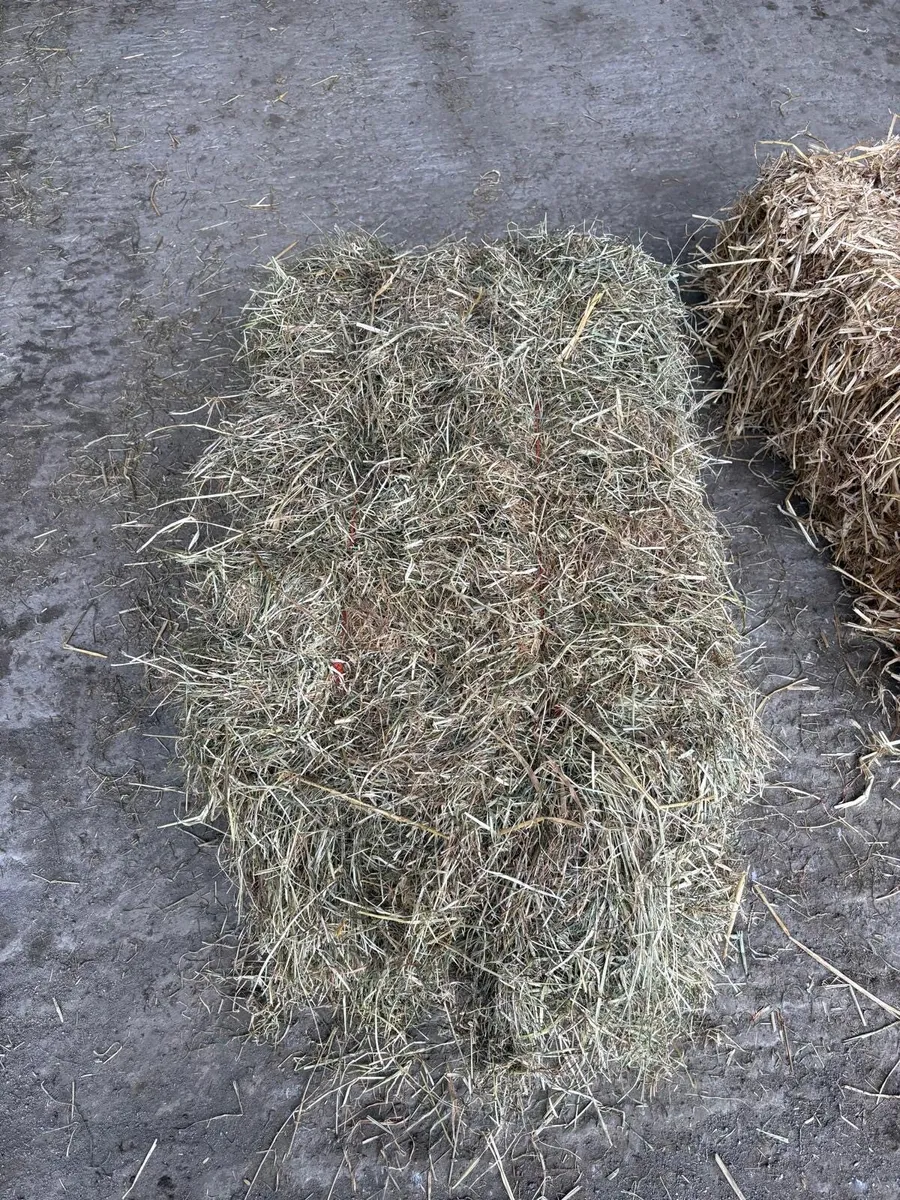 Small square bales of Hay&Straw - Image 1