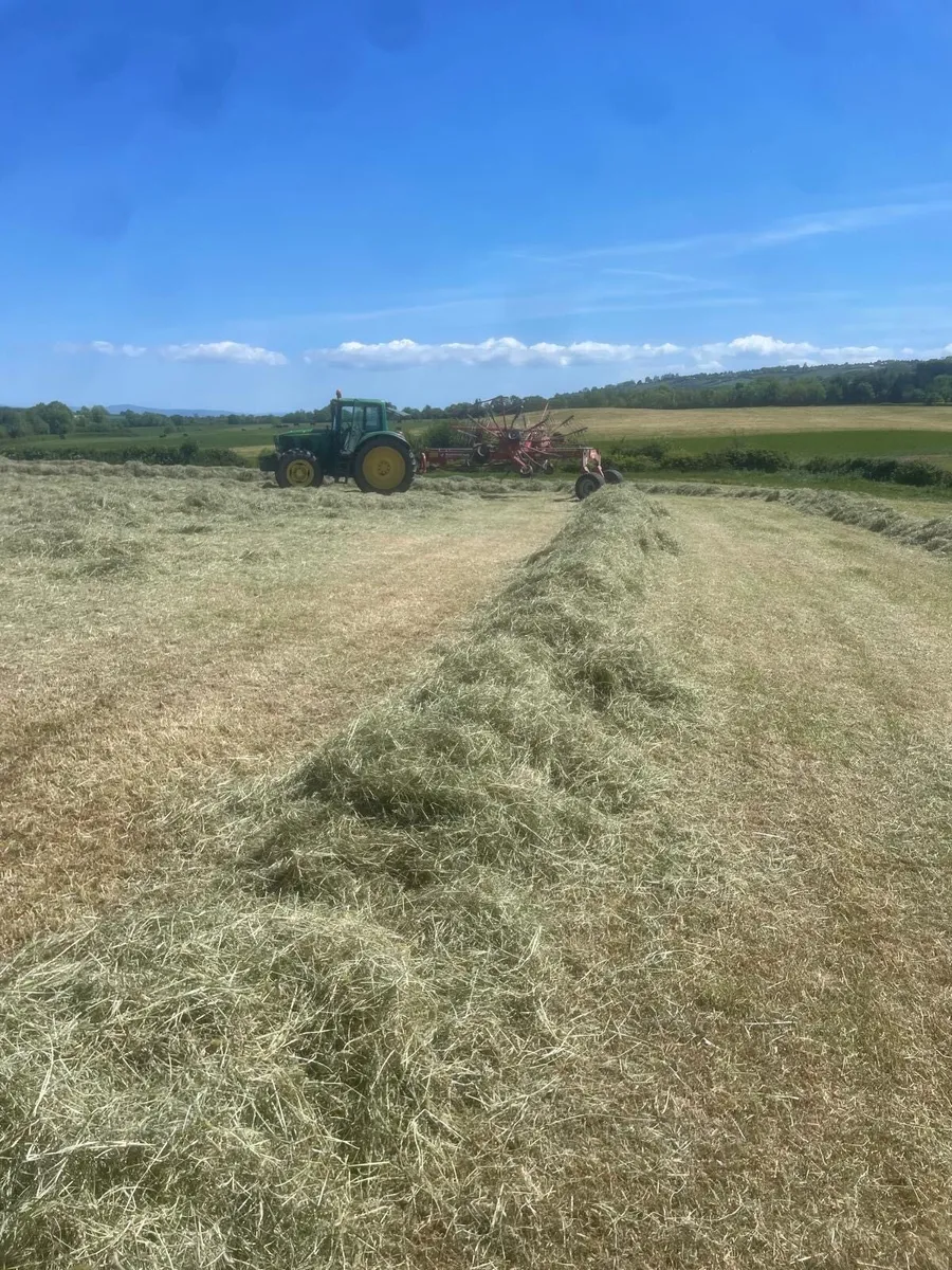Small square bales of Hay&Straw - Image 3