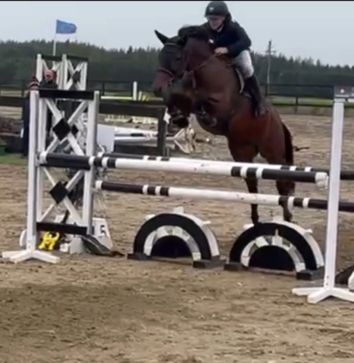 6yr old 148….record to 110 - Image 1