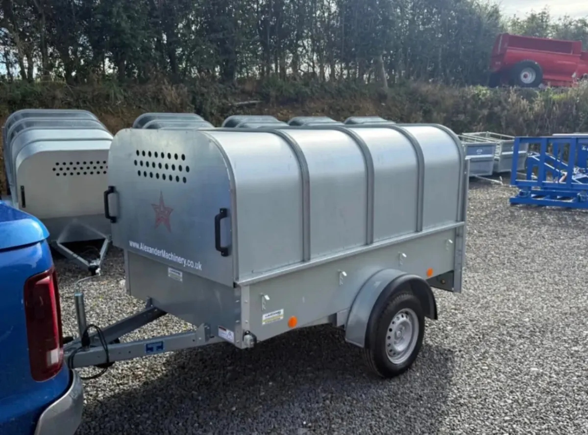 YOUNGSTOCK TRAILER 7x4 NEW - Image 1