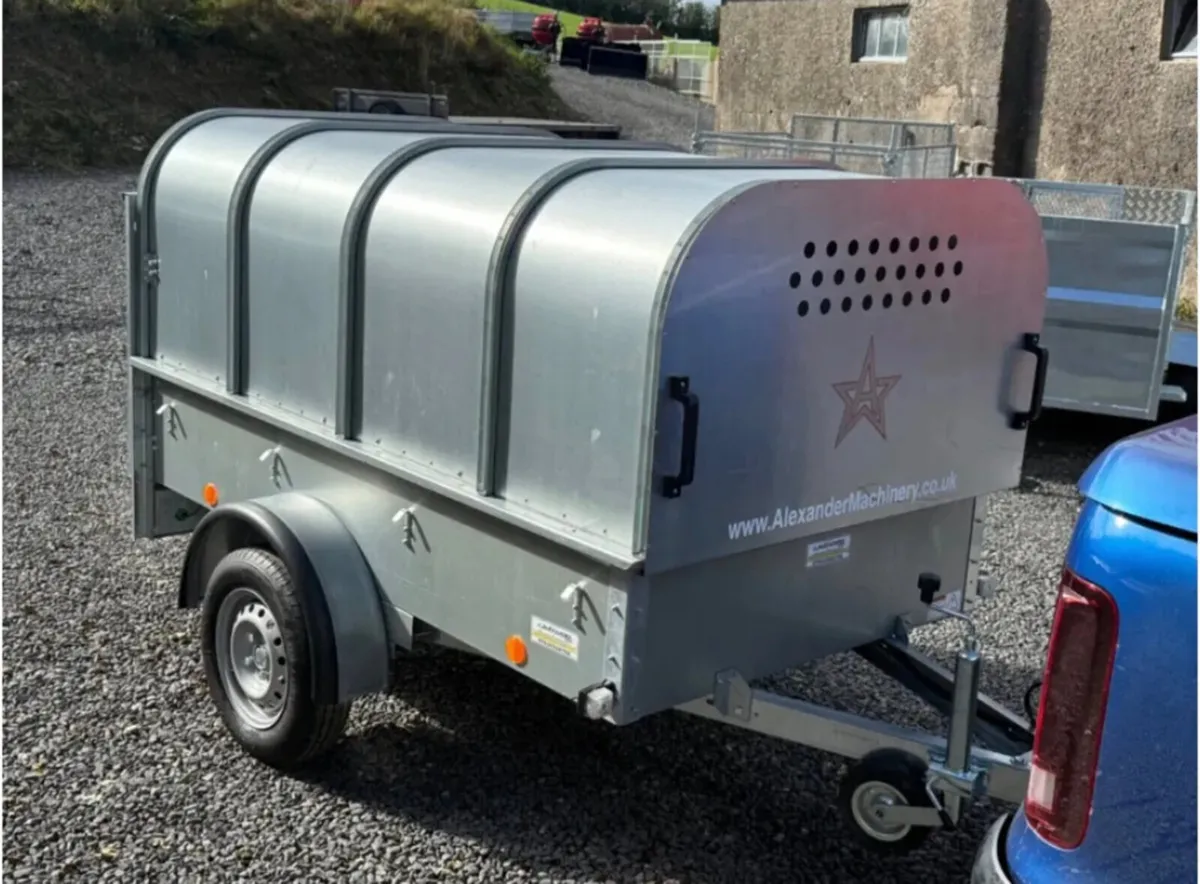 YOUNGSTOCK TRAILER 7x4 NEW - Image 4